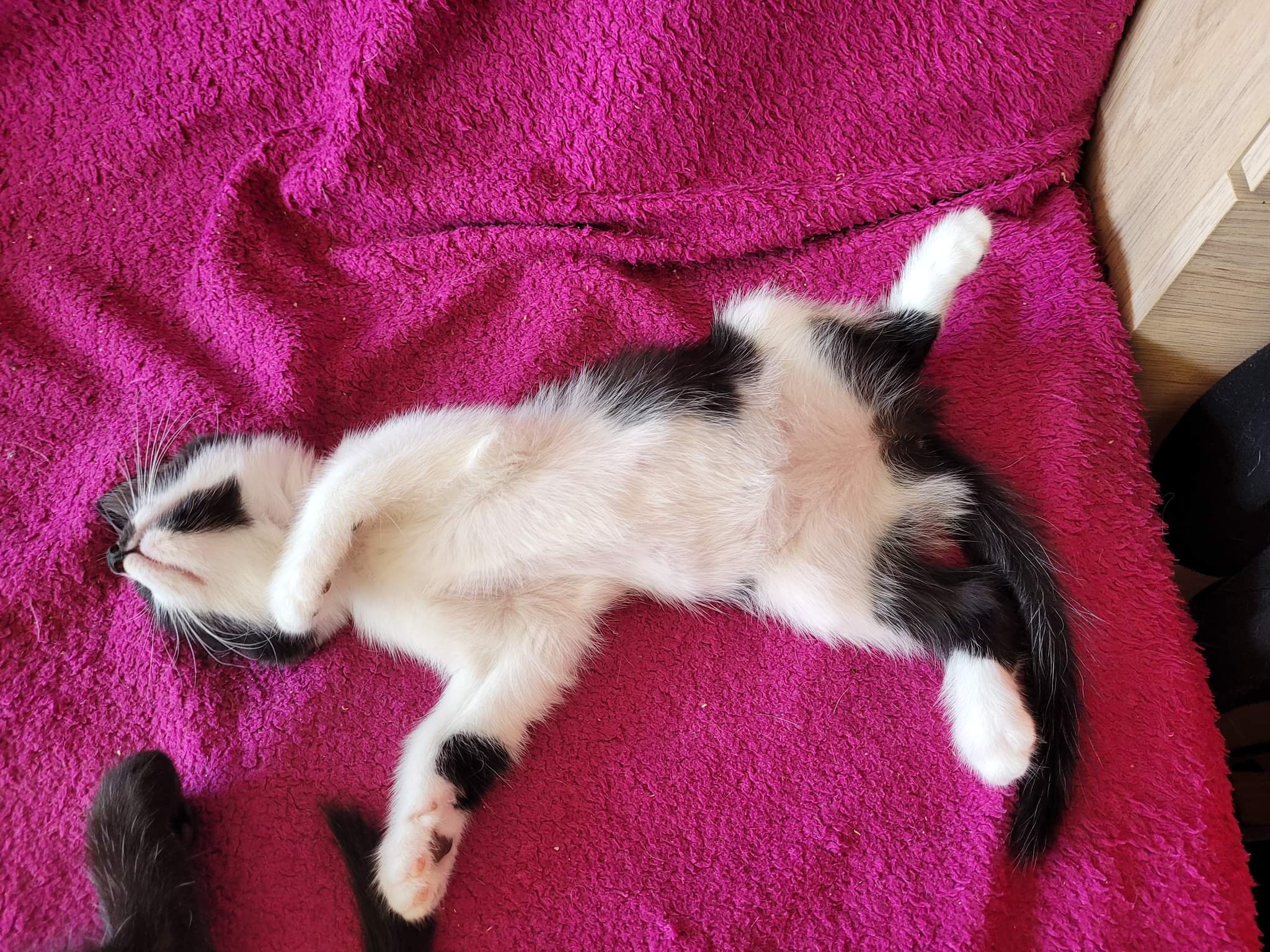 received_631931545309976