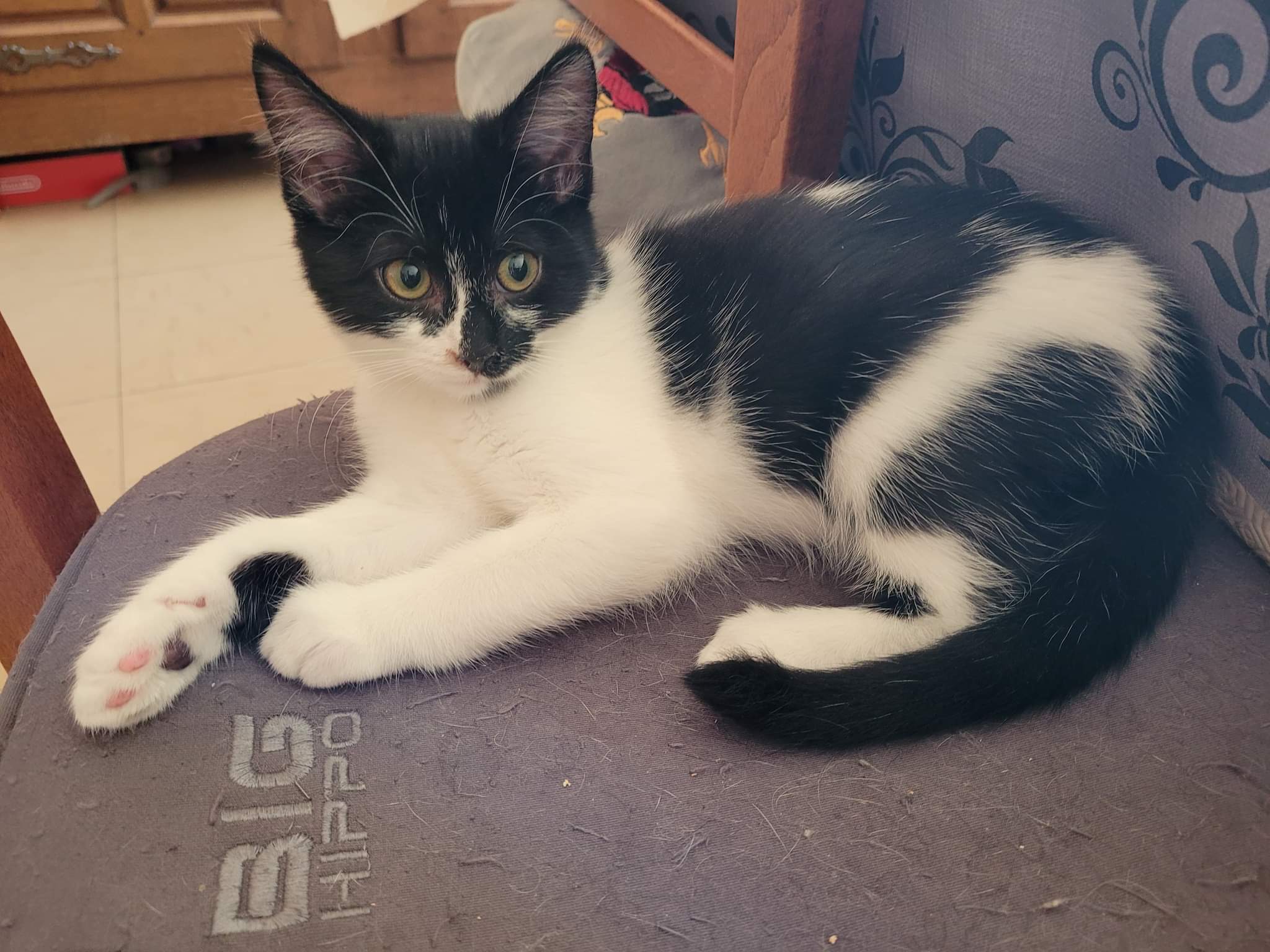 received_633157661797241-1