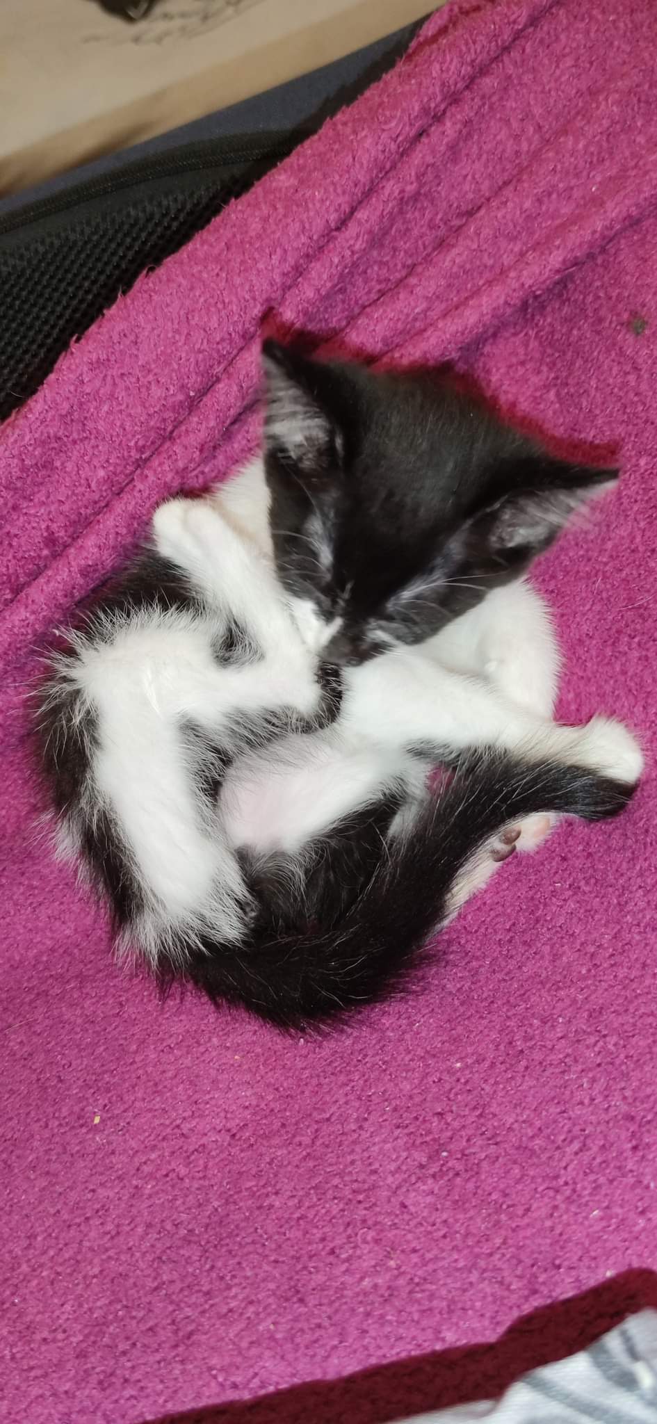 received_653251096242536-1