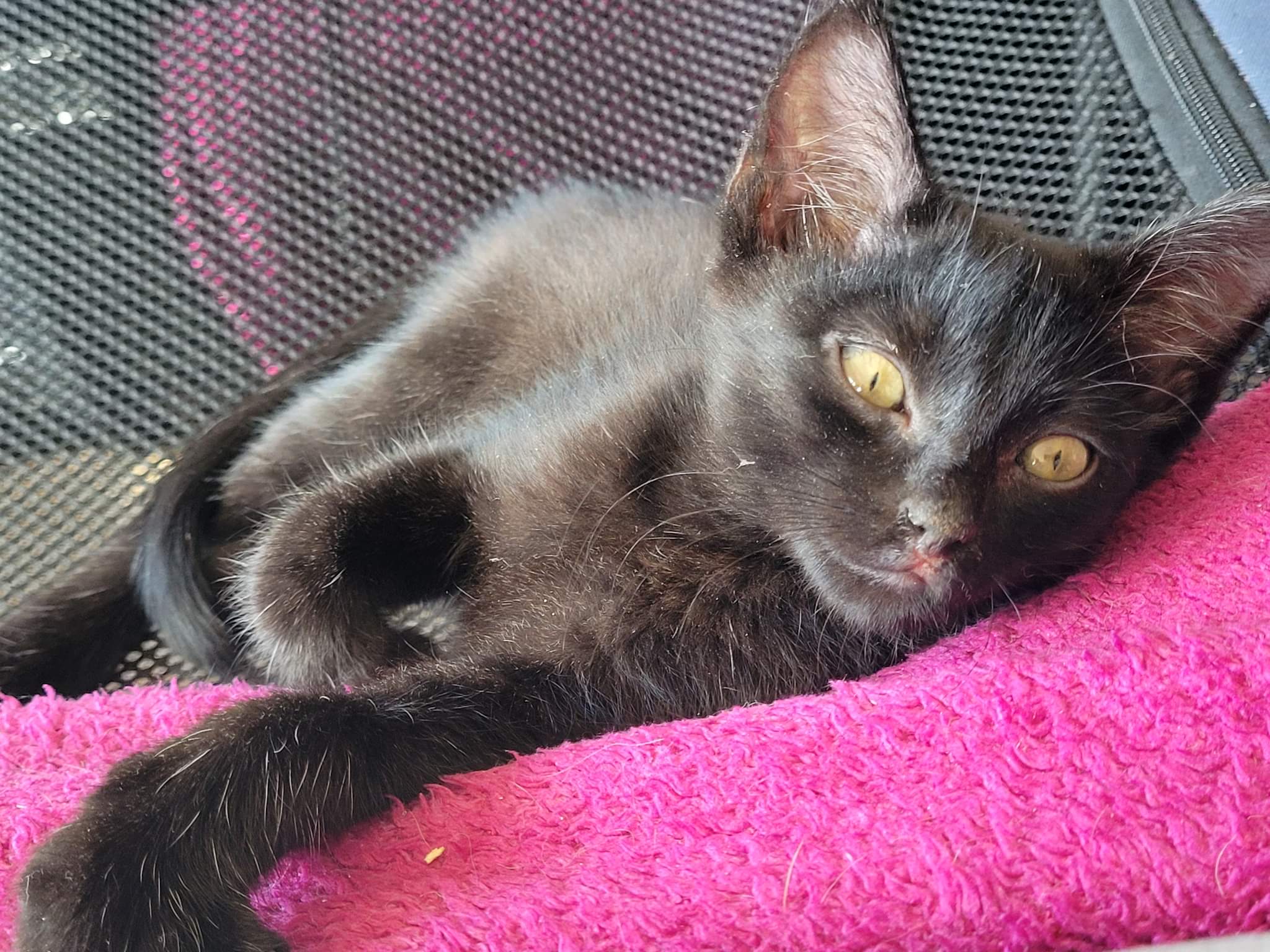 received_682161186363069