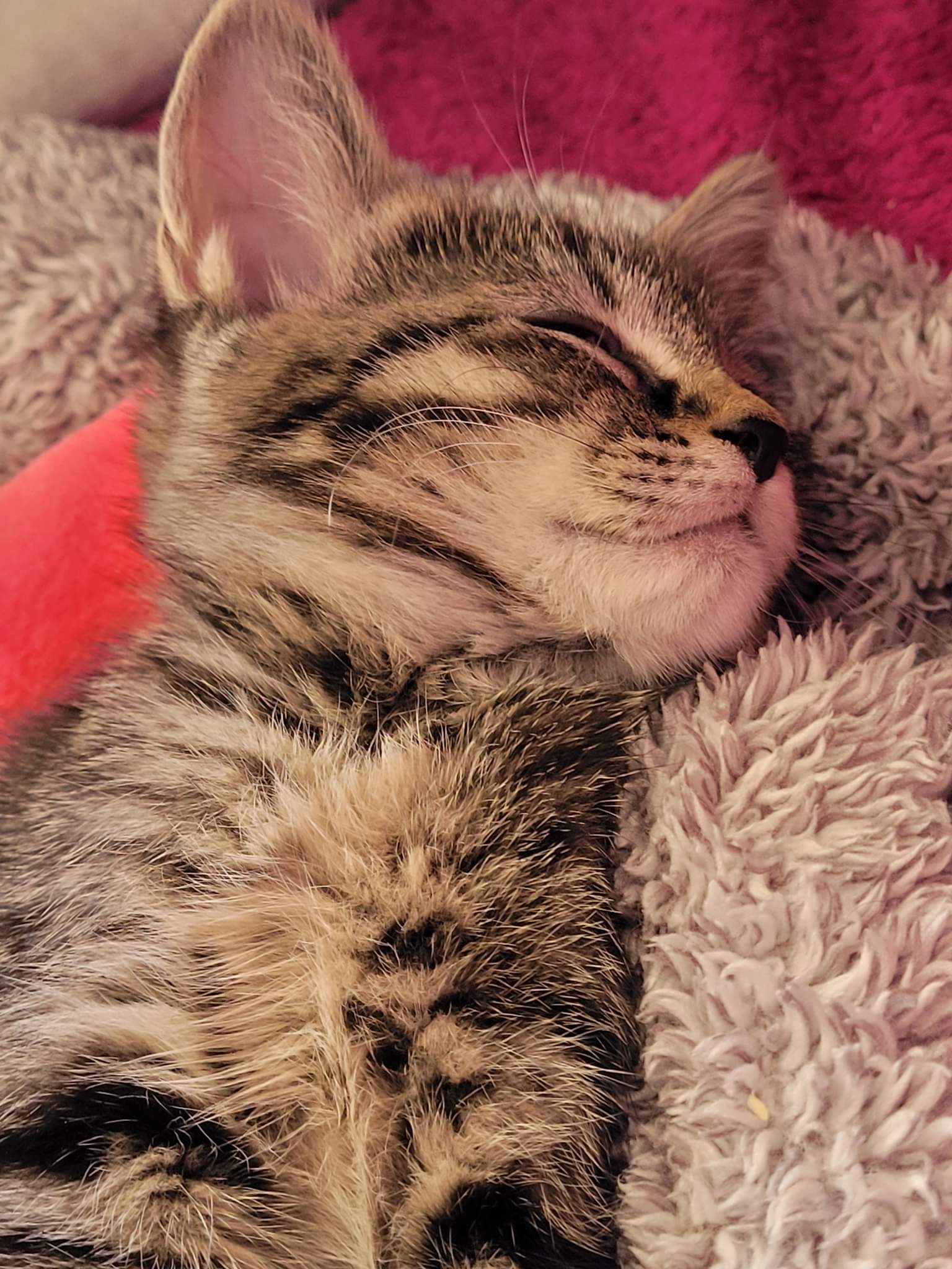 received_786643642635032