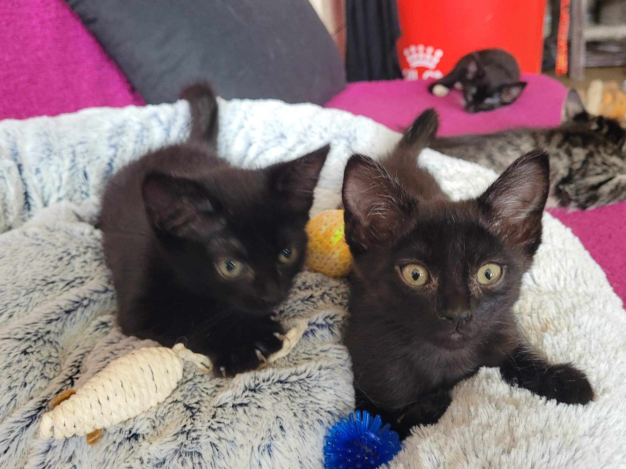 received_805323110748920