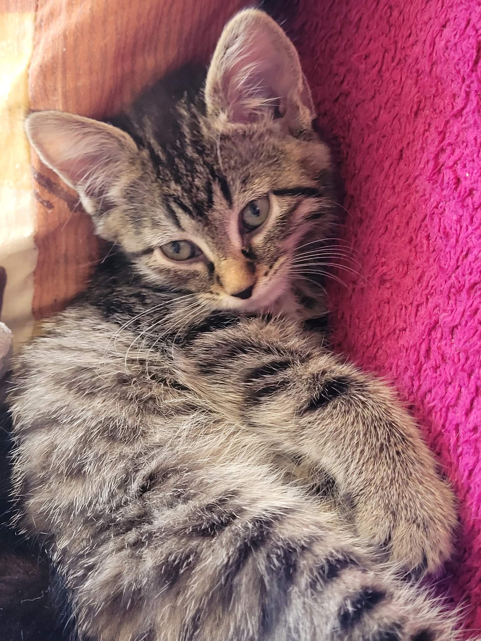 received_817515509593435-1