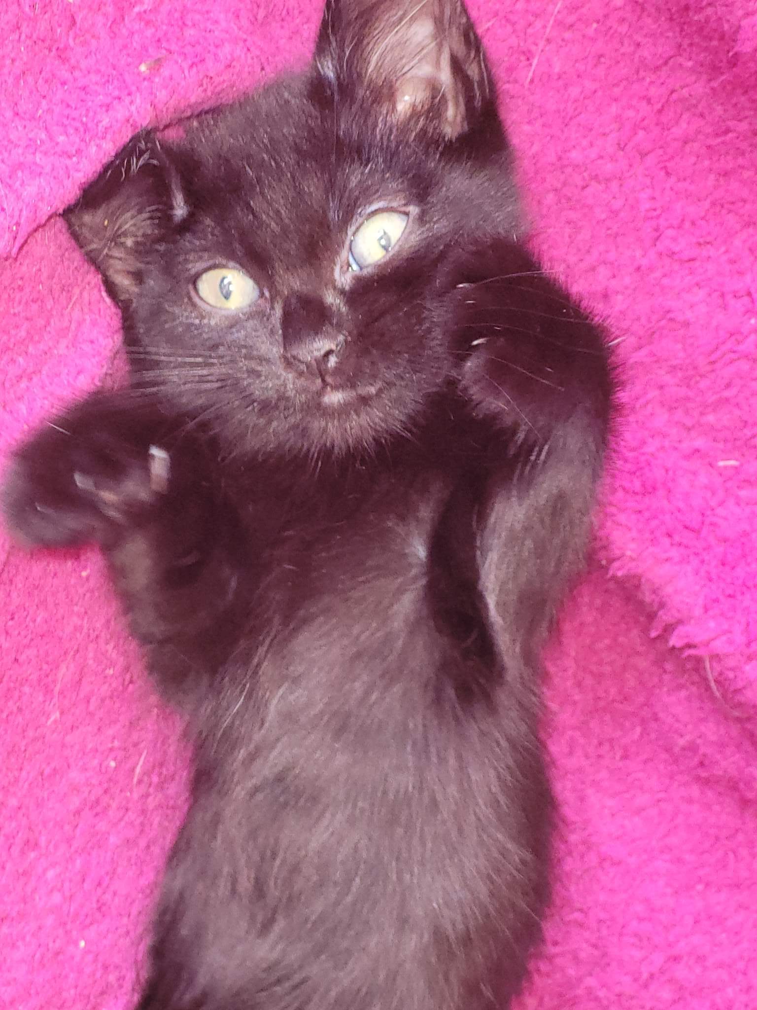 received_841440060186783