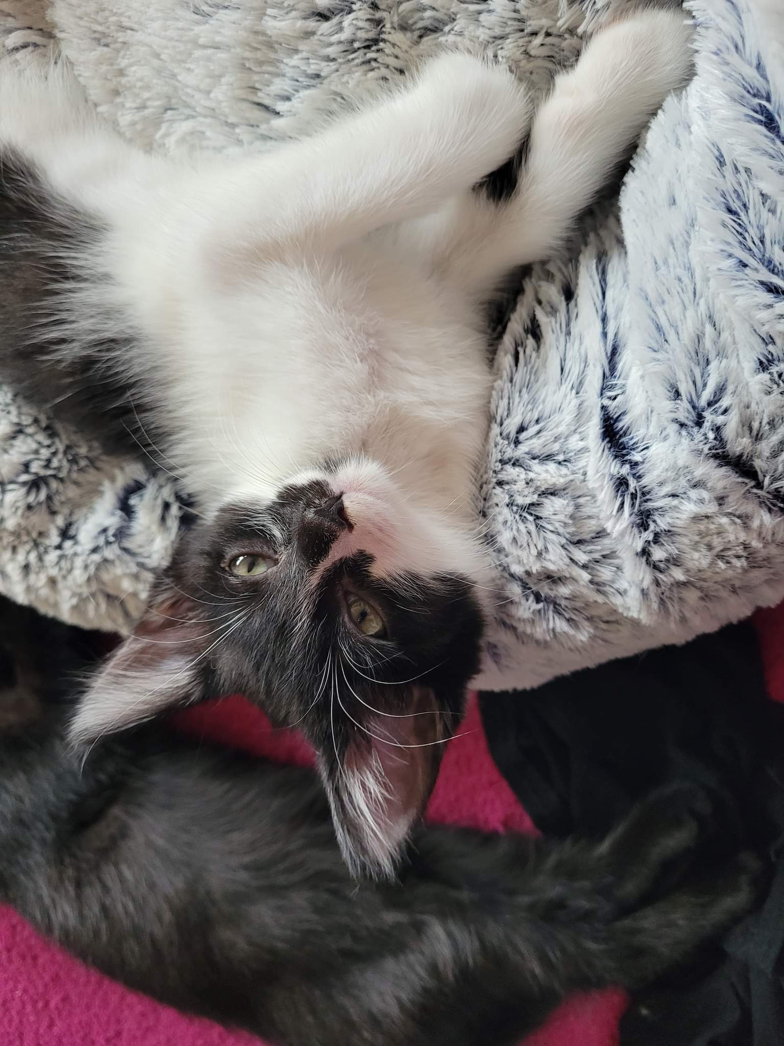 received_848381156169188