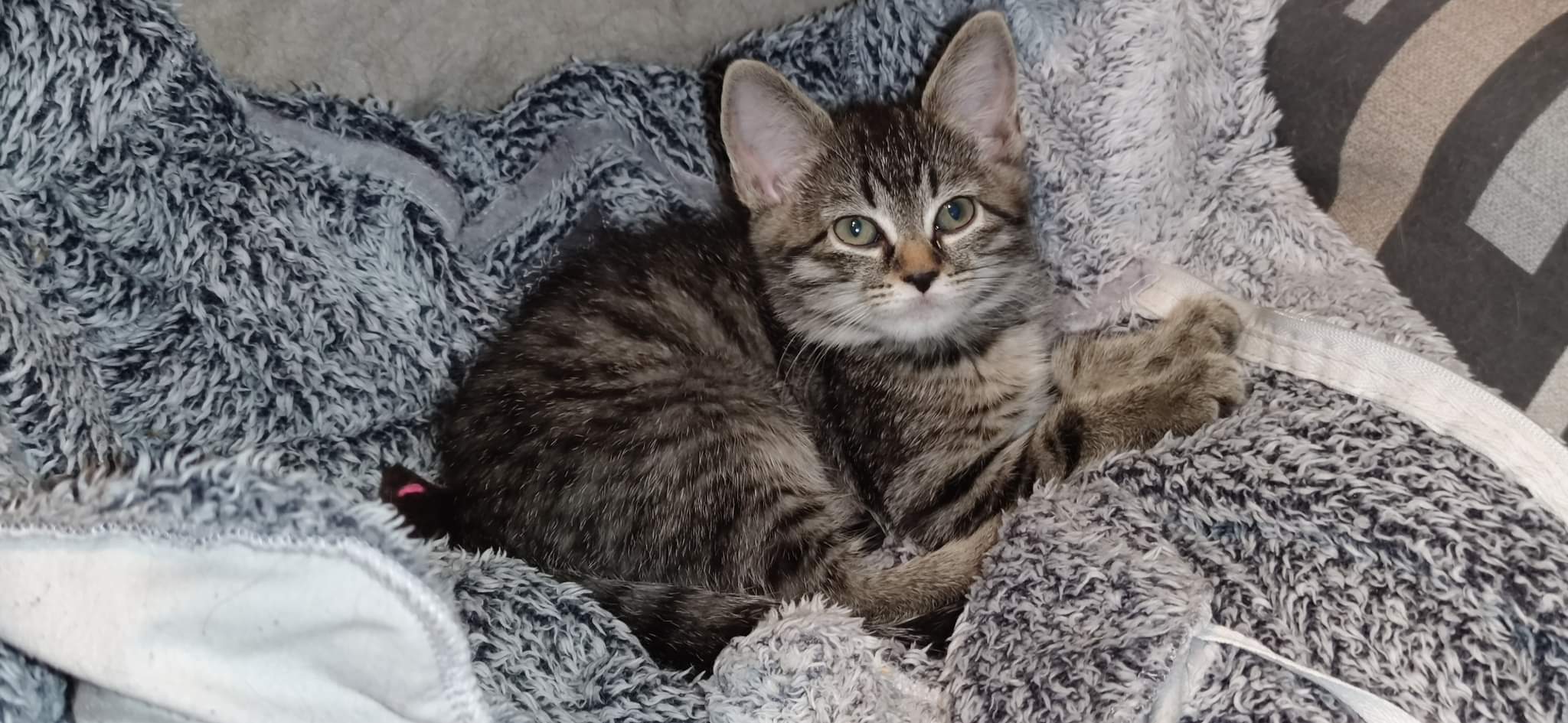 received_851624582851684-1